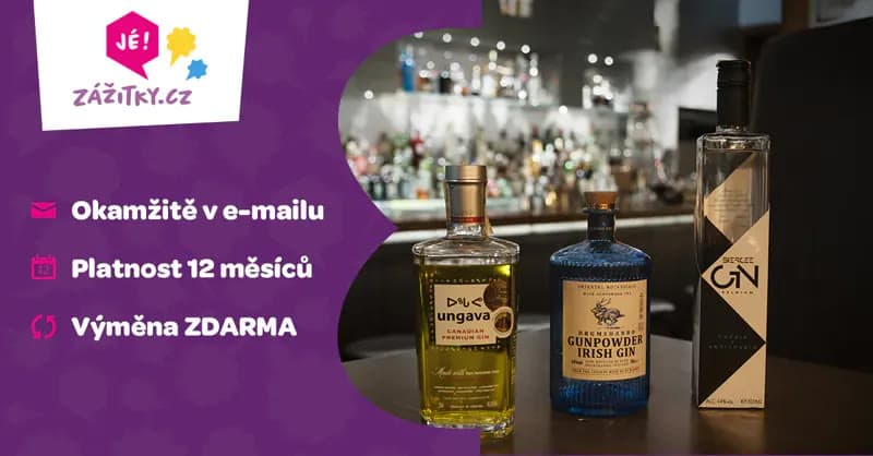 Degustace gin & tonic